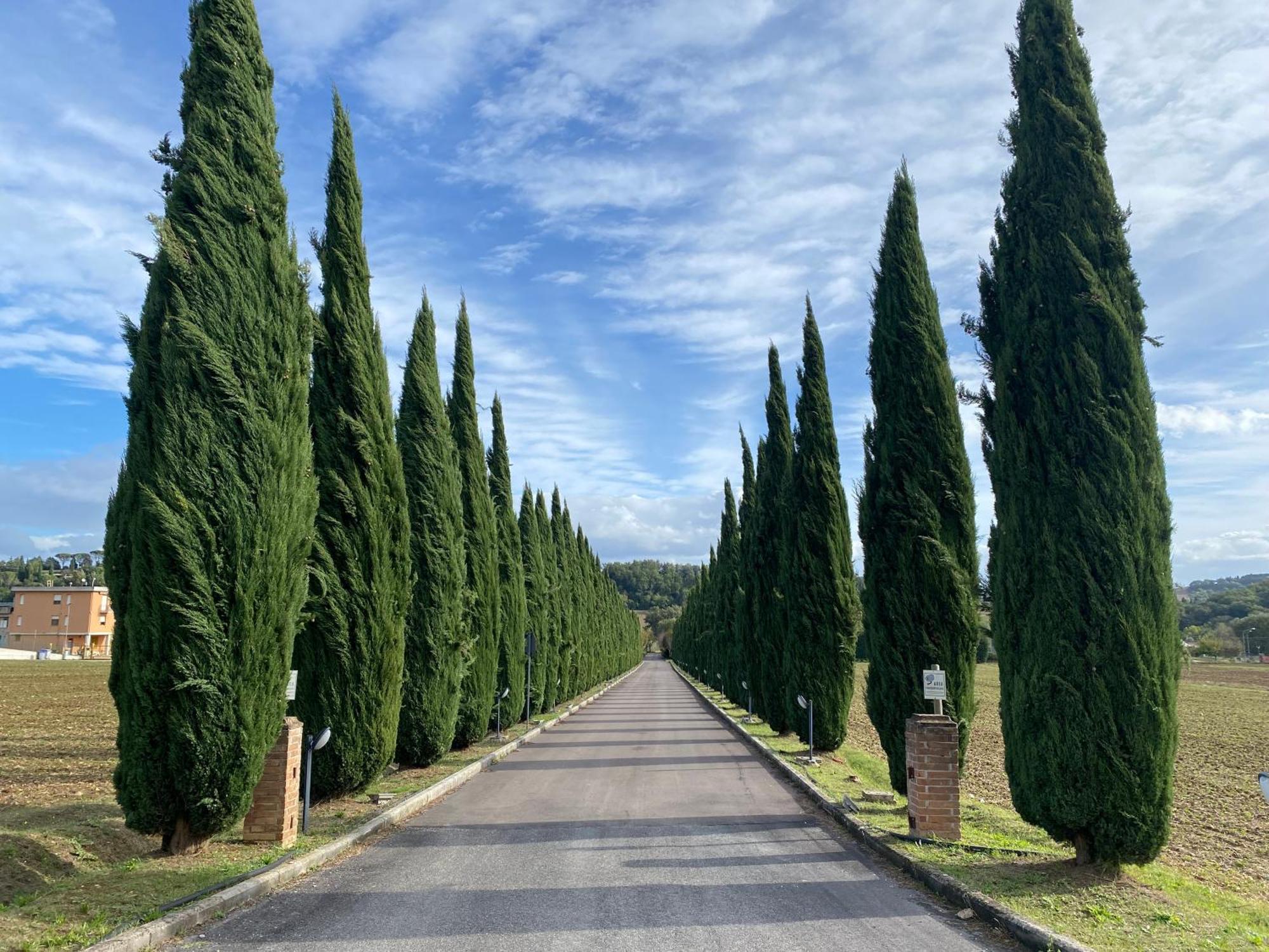 La Locanda Dei Golosi ボスコ エクステリア 写真